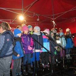 Rozsvítili strom