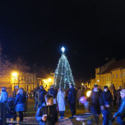Rozsvítili strom