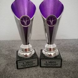 SKUPINA 11 STARS PŘIVEZLA DVĚ MEDAILE Z CHEBU!
