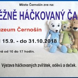 VÝSTAVA HÁČKOVANÝCH DEKORACÍ