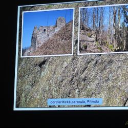 GEOLOG PETR ROJÍK VYPRÁVĚL O KAMENECH Z NAŠEHO KRAJE