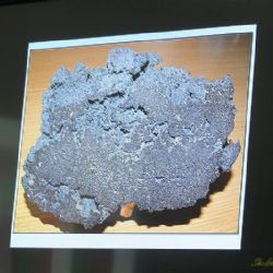 BESEDOVALI S GEOLOGEM
