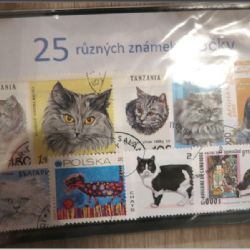 Kočičí Vánoce