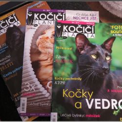 Vánoce zahájeny! Koček plný dům!