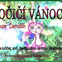 Vánoce zahájeny! Koček plný dům!