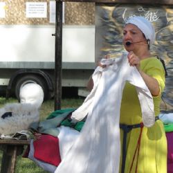 Oslava 30 Spolku pro záchranu Volštejna