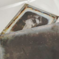 Výstava HISTORIE FOTOGRAFIE