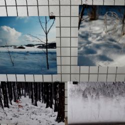 V Černošíně vystavují zimní fotky
