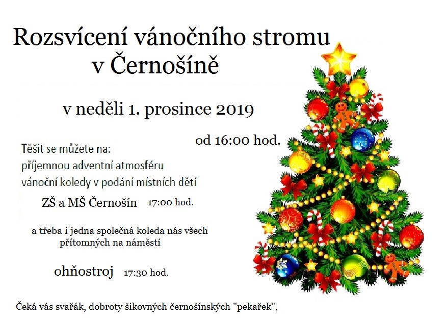 IMAGE:
