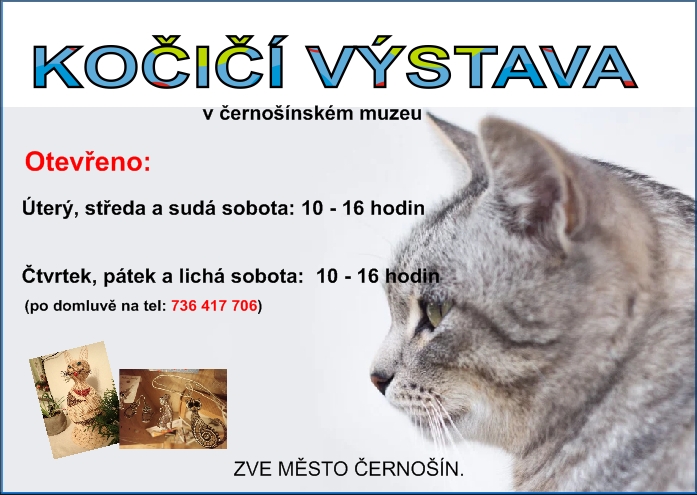 IMAGE: